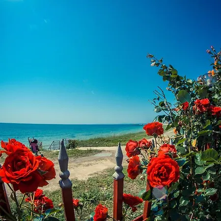 公寓 海滨堡海滩公寓 *