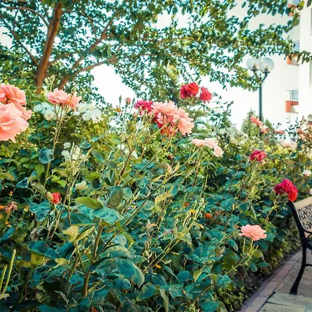 Lägenhet Riviera Ravda